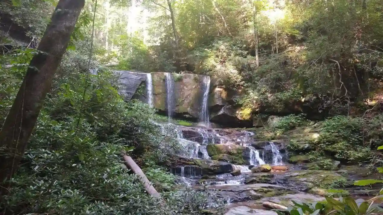Best Hiking Trails in South Carolina