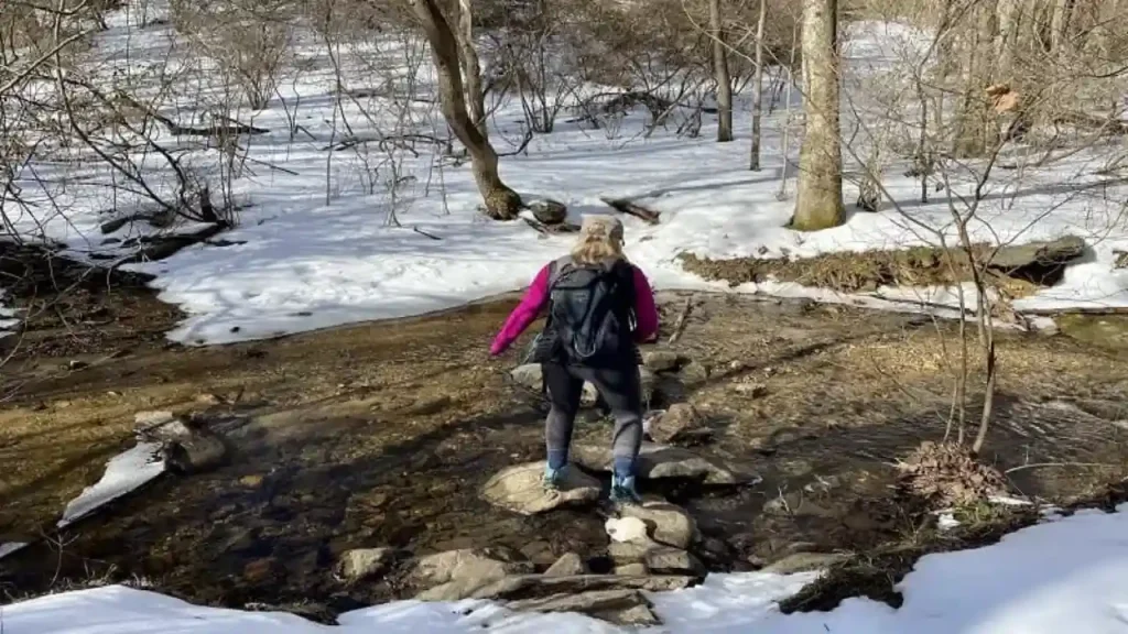 Caloric Burn and Hiking