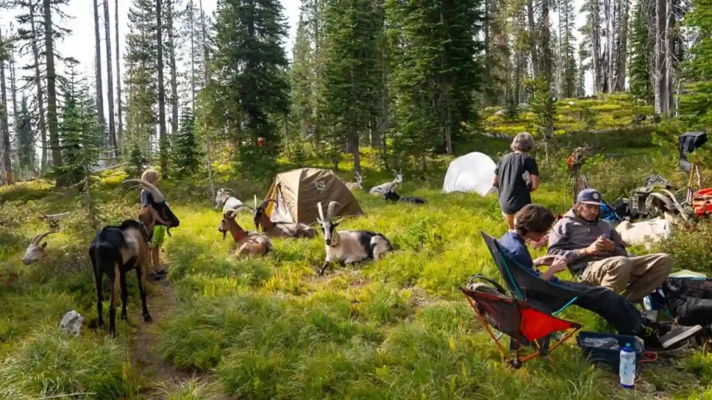 Essential Gear for Goat Hiking