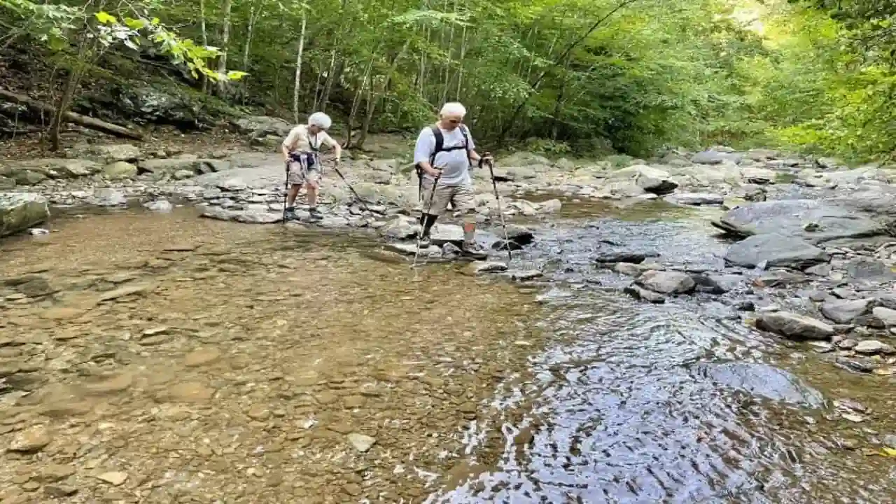 Will Hiking Help You Lose Weight?