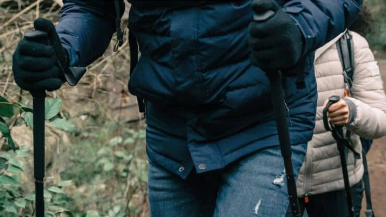 Do I Need Trekking Poles